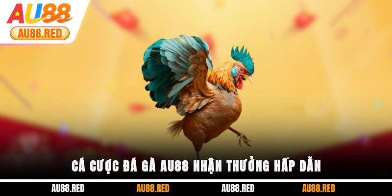 Cá cược Đá Gà AU88 nhận thưởng hấp dẫn