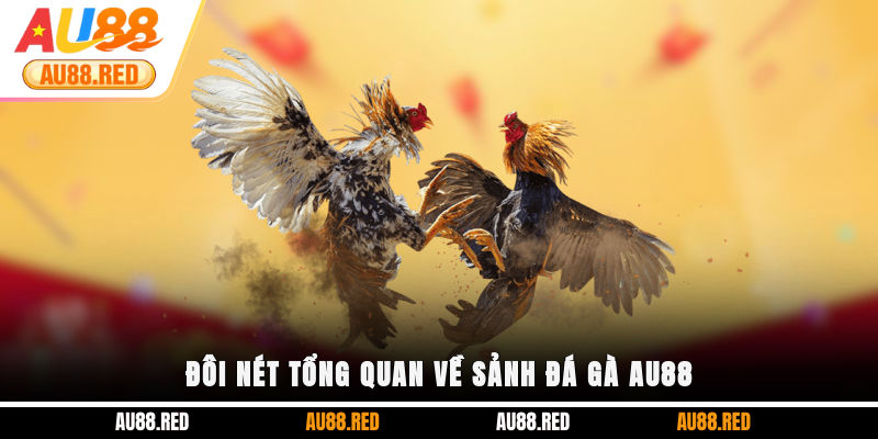 Đôi nét tổng quan về sảnh Đá Gà AU88