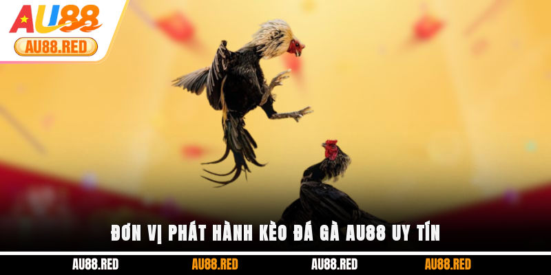 Đơn vị phát hành kèo Đá Gà AU88 uy tín